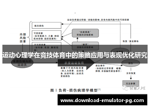 运动心理学在竞技体育中的策略应用与表现优化研究