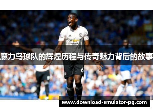 魔力鸟球队的辉煌历程与传奇魅力背后的故事