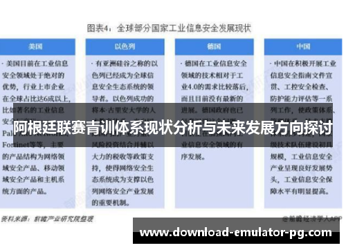 阿根廷联赛青训体系现状分析与未来发展方向探讨